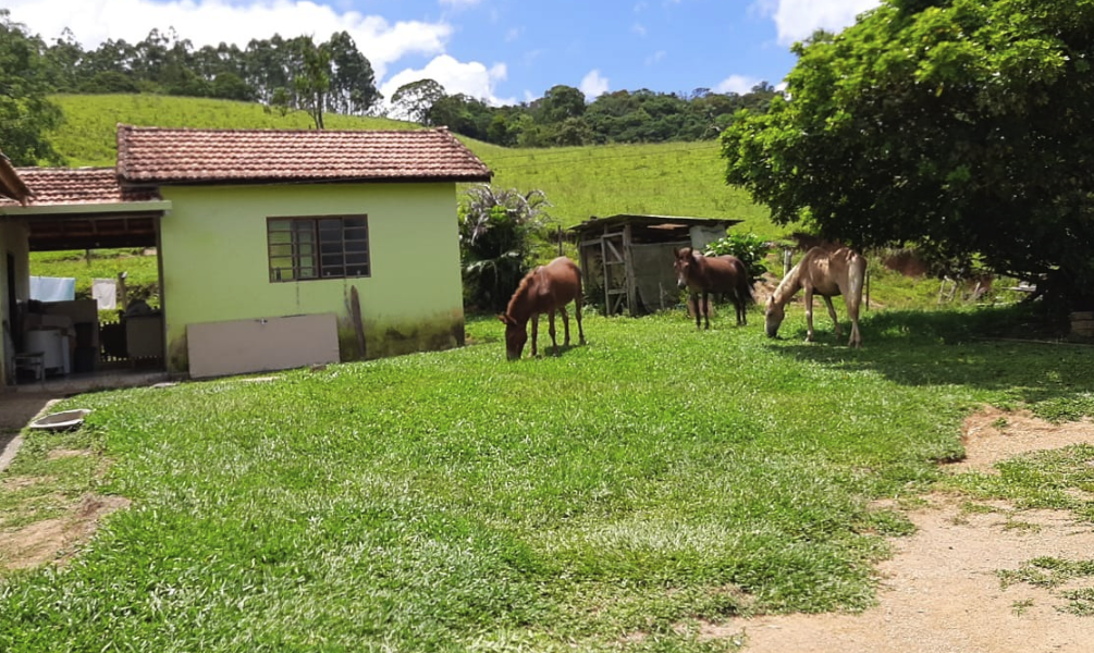 Compra de Terras em Rio Branco - Acre