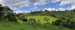 Compra de Terras em Rio Branco - Acre