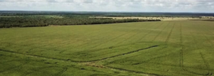 Compra e Venda de Imóveis Rurais em Rio Branco – Acre