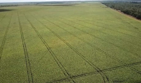 Compra e venda de imóveis rurais em Rio Branco – Acre