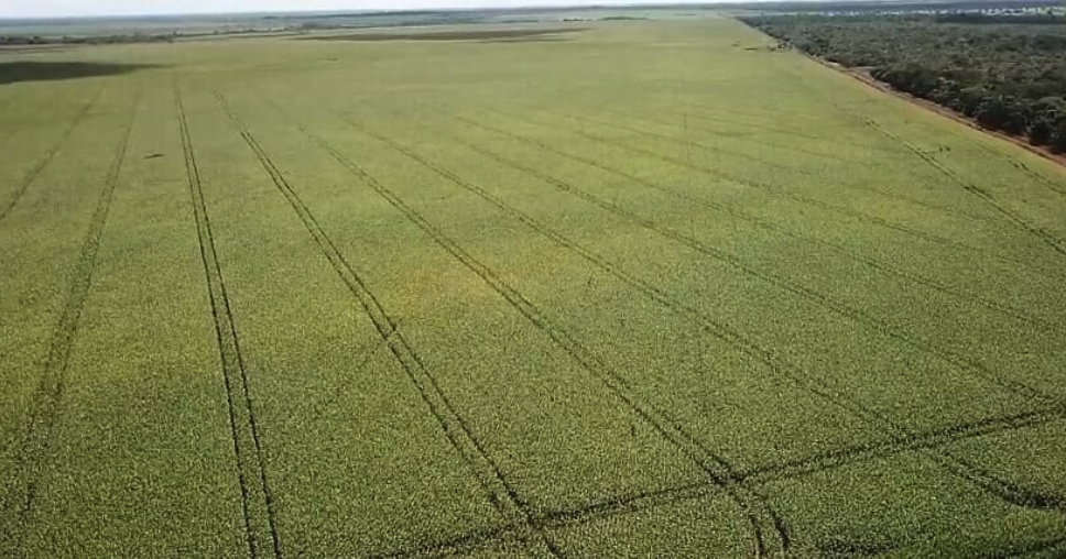 Compra e venda de imóveis rurais em Rio Branco – Acre