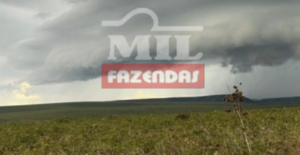 Fazenda em Lagoa do Tocantins - Tocantins – Mil Fazendas