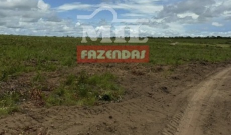 Fazenda em Lagoa do Tocantins - Tocantins – Mil Fazendas