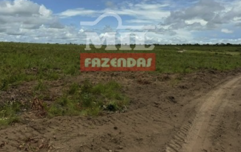 Fazenda em Lagoa do Tocantins - Tocantins – Mil Fazendas