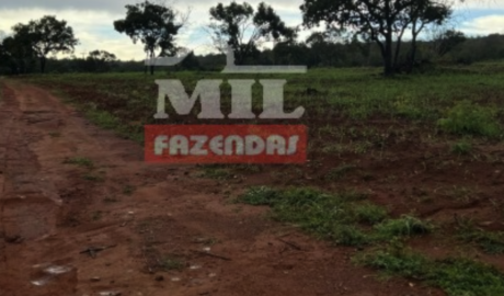 Fazenda em Porto Nacional - Tocantins – Mil Fazendas