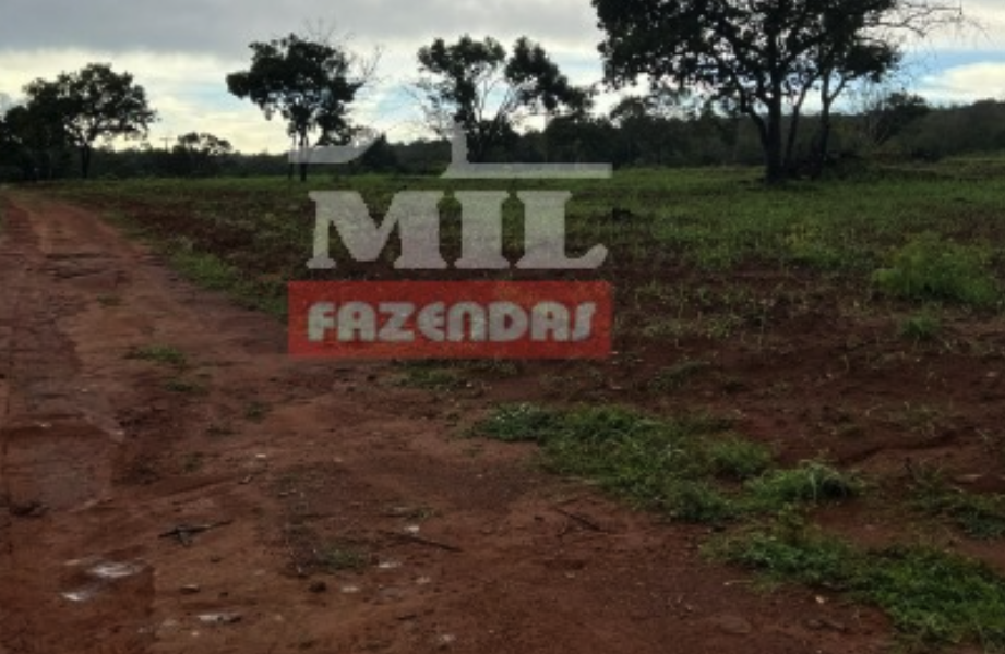 Fazenda em Porto Nacional - Tocantins – Mil Fazendas