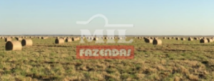 Fazenda em Wanderley - Bahia - Mil Fazendas   