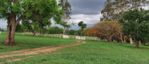 Fazendas a venda em Macapá - Amapá