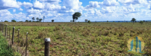 Fazendas em Macapá – Amapá