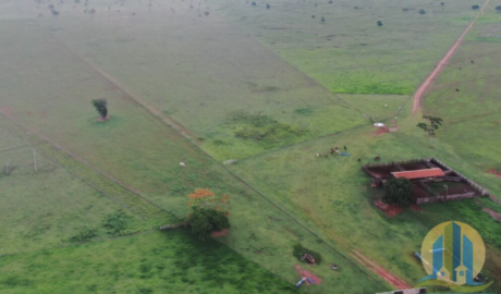 Fazendas em Macapá - Amapá