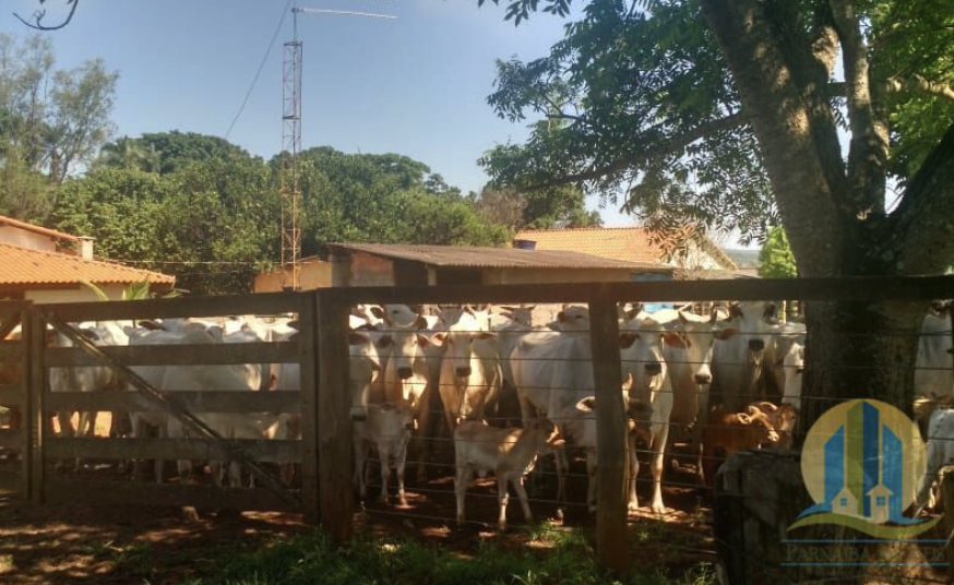 Fazendas para Arrendar em Macapá – Amapá