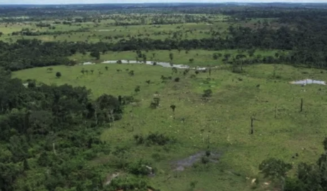 Imóveis rurais em Rio Branco - Acre