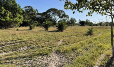 Imóveis Rurais em Macapá - Amapá