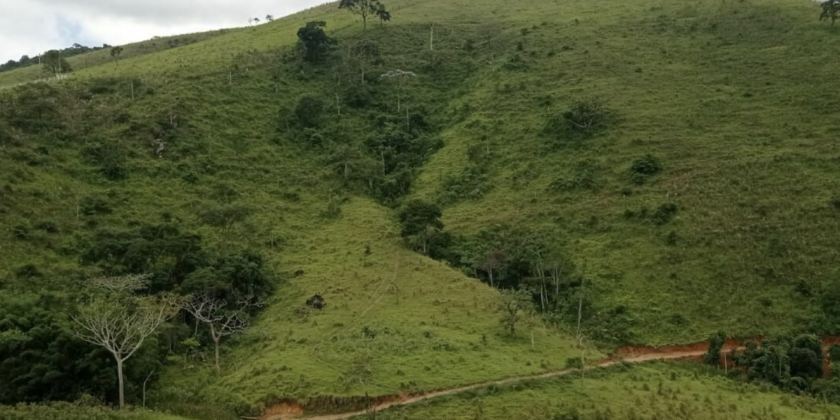 Onde anunciar imóveis rurais em Macapá – Amapá