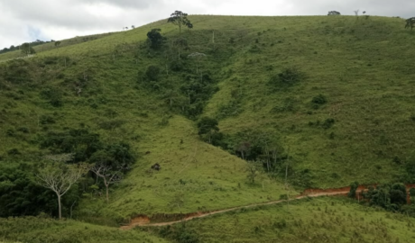 Onde anunciar imóveis rurais em Macapá – Amapá