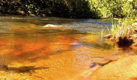 Onde anunciar imóveis rurais em Rio Branco – Acre