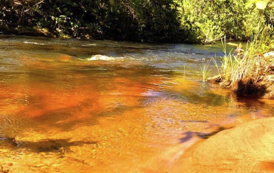 Onde anunciar imóveis rurais em Rio Branco – Acre