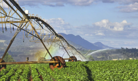 fazenda à venda, sítio à venda, chácara à venda, propriedade rural à venda, imóvel rural à venda, área rural à venda, terreno rural à venda, fazenda para pecuária, fazenda para agricultura, fazenda para reflorestamento, fazenda para lazer, fazenda para investimento, fazenda com casa sede, fazenda com infraestrutura completa, fazenda com nascentes, fazenda com rio, fazenda com lago, fazenda com pastagens, fazenda com plantações, fazenda com potencial turístico, fazenda histórica, fazenda com haras, fazenda com área de preservação ambiental, fazenda com acesso fácil, fazenda próxima à cidade, fazenda com boa localização, fazenda com documentação em dia, fazenda com preço atrativo, oportunidade de investimento, imóvel rural de alto padrão, paraíso rural.