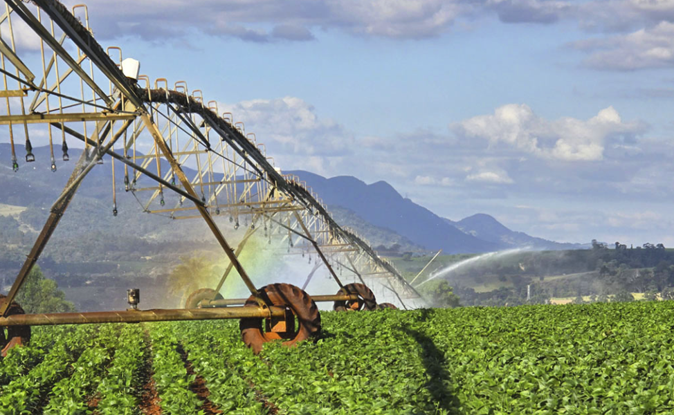 fazenda à venda, sítio à venda, chácara à venda, propriedade rural à venda, imóvel rural à venda, área rural à venda, terreno rural à venda, fazenda para pecuária, fazenda para agricultura, fazenda para reflorestamento, fazenda para lazer, fazenda para investimento, fazenda com casa sede, fazenda com infraestrutura completa, fazenda com nascentes, fazenda com rio, fazenda com lago, fazenda com pastagens, fazenda com plantações, fazenda com potencial turístico, fazenda histórica, fazenda com haras, fazenda com área de preservação ambiental, fazenda com acesso fácil, fazenda próxima à cidade, fazenda com boa localização, fazenda com documentação em dia, fazenda com preço atrativo, oportunidade de investimento, imóvel rural de alto padrão, paraíso rural.