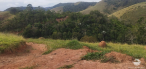  Onde comprar um imóvel rural em Rio Branco – Acre