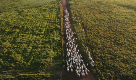 Onde vender um imóvel rural em Macapá – Amapá