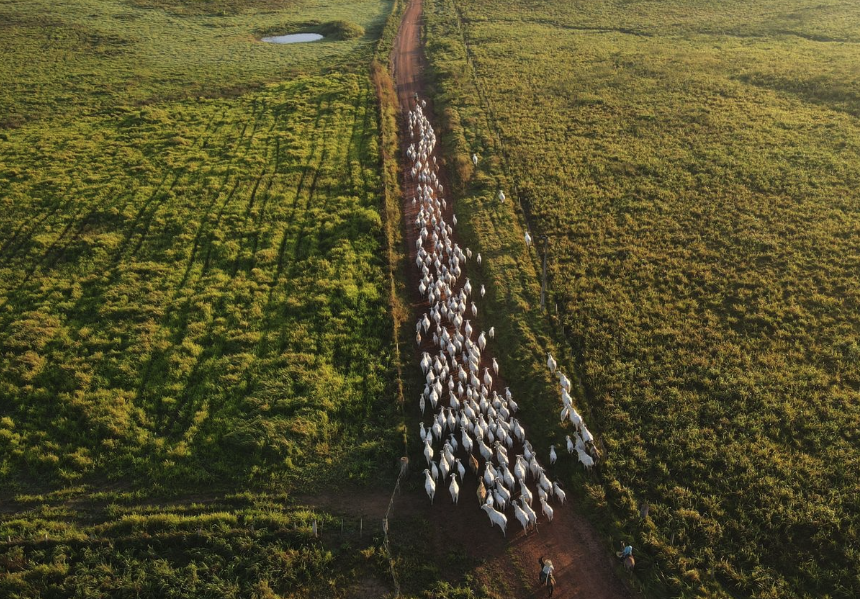 Onde vender um imóvel rural em Macapá – Amapá