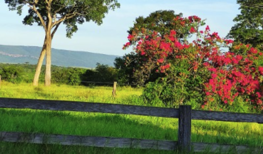 Propriedades rurais em Macapá – Amapá