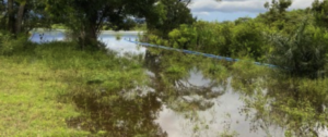 Propriedades rurais em Macapá – Amapá