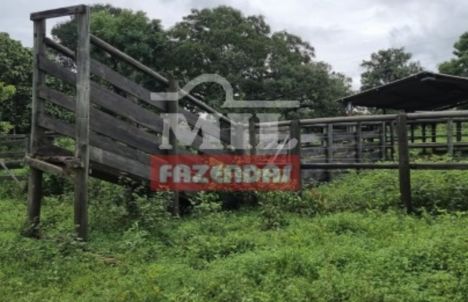 Site de classificados de venda imóveis rurais em Rio Branco – Acre