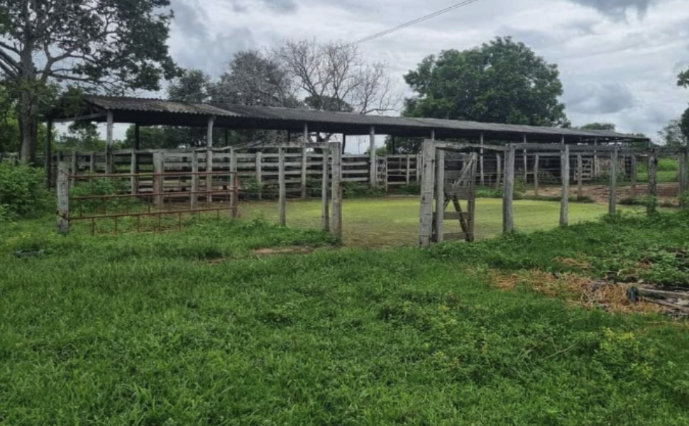 Sites Especialistas em Imóveis Rurais em Rio Branco – Acre