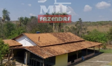 Chácara em Bela Vista de Goiás - Goiás - Mil Fazendas