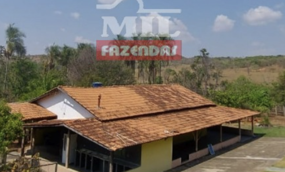 Chácara em Bela Vista de Goiás - Goiás - Mil Fazendas