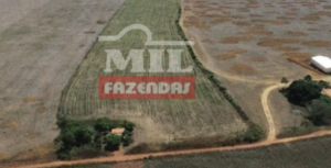 Localização Fazenda em Açailândia - Maranhão – Mil Fazendas