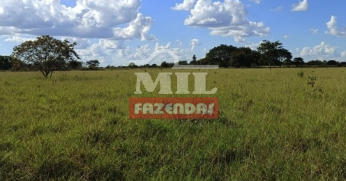 Fazenda em Alto Horizonte - Goiás – Mil Fazendas