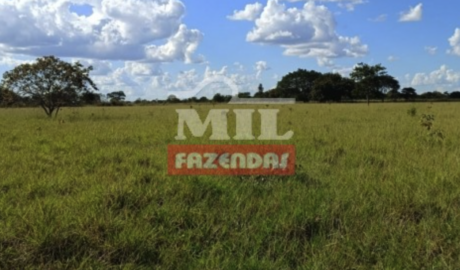 Fazenda em Alto Horizonte - Goiás – Mil Fazendas