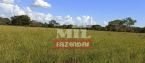 Fazenda em Alto Horizonte - Goiás – Mil Fazendas