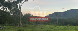 Fazenda em Alto Paraíso de Goiás - Goiás – Mil Fazendas