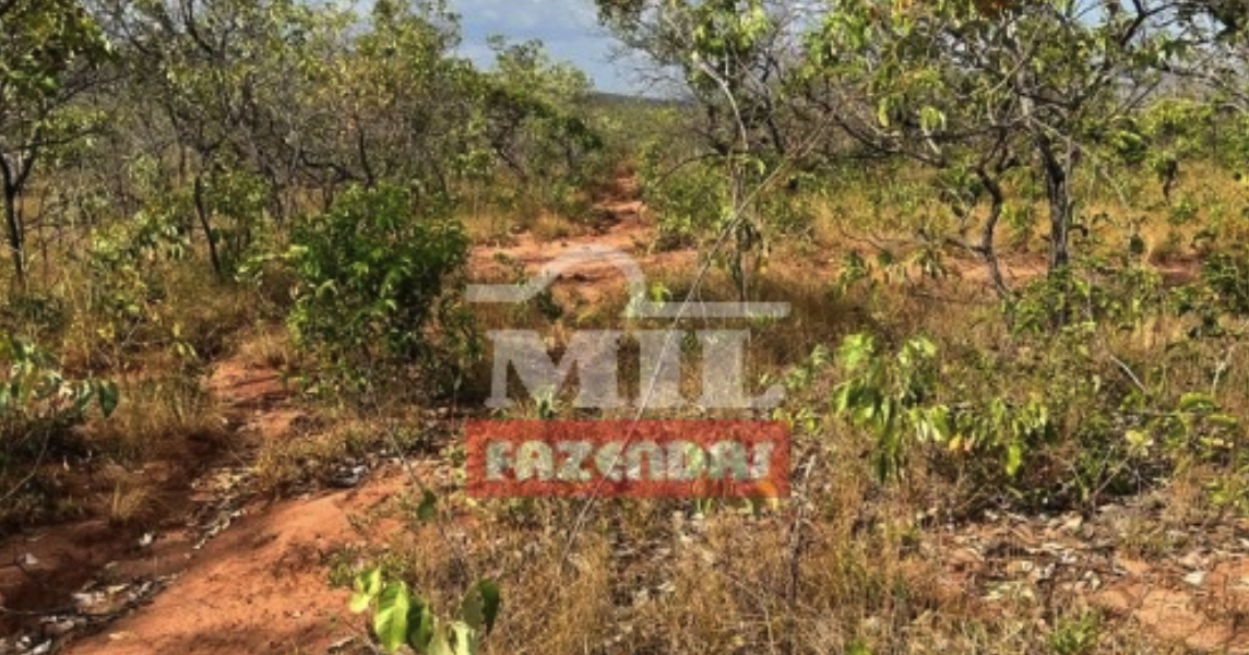 Fazenda em Alto Parnaíba - Maranhão – Mil Fazendas