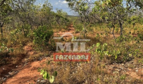 Fazenda em Alto Parnaíba - Maranhão – Mil Fazendas