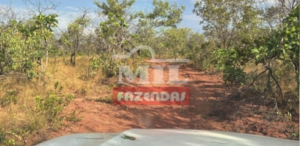  Fazenda em Alto Parnaíba - Maranhão – Mil Fazendas