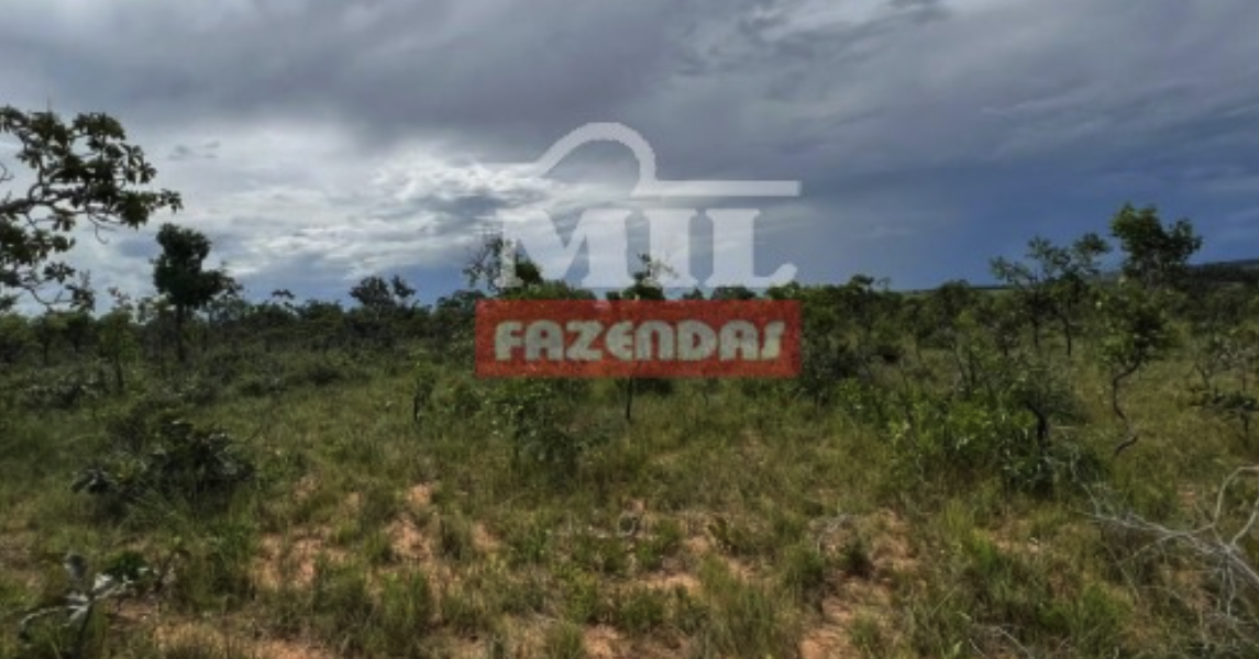 Fazenda em Alvorada do Norte - Goiás – Mil Fazendas