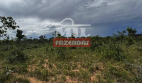 Fazenda em Alvorada do Norte - Goiás – Mil Fazendas