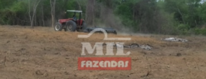 Fazenda em Andaraí - Bahia – Mil Fazendas