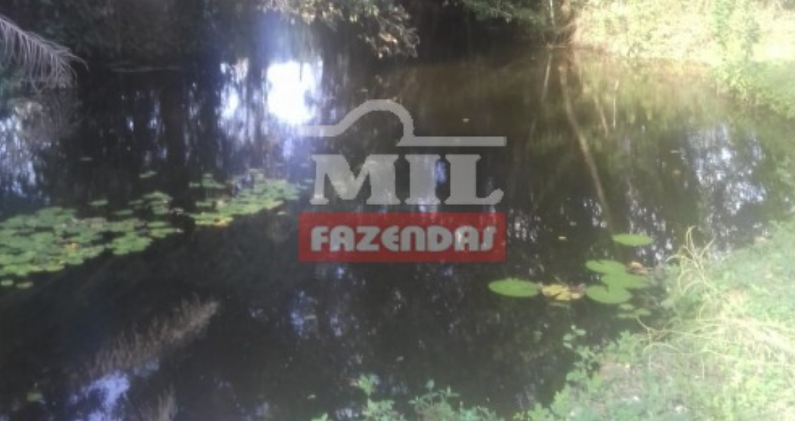 Fazenda em Andaraí - Bahia – Mil Fazendas