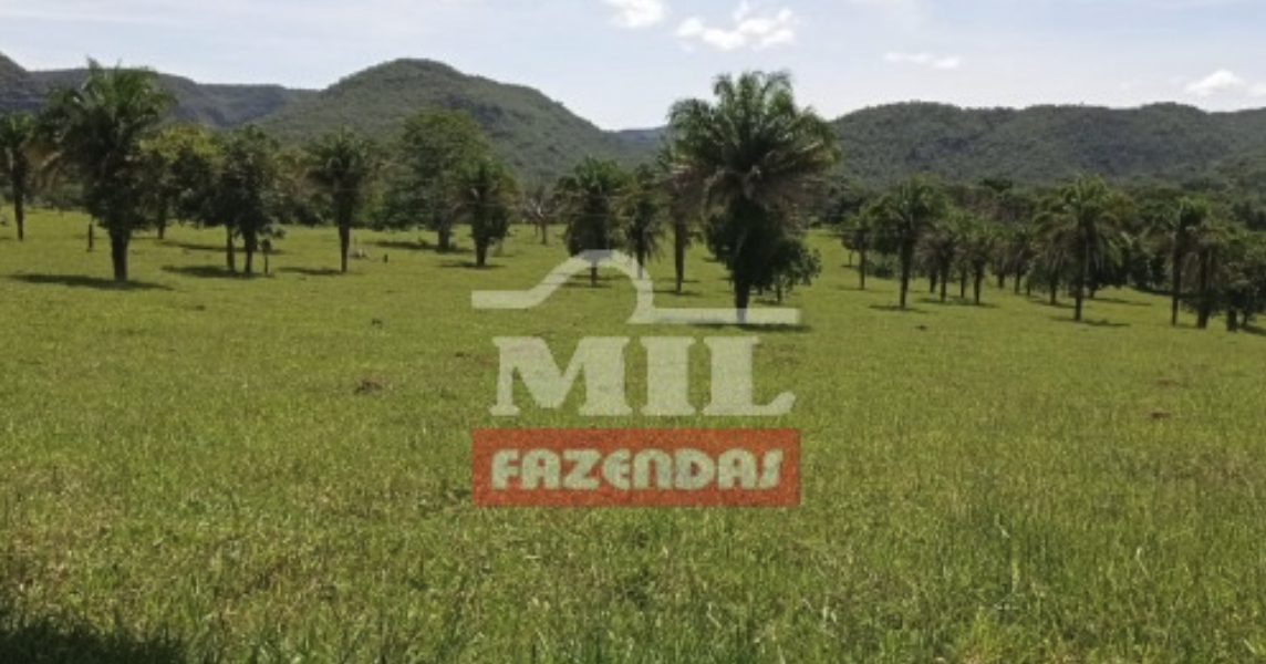 Fazenda em Baliza - Goiás – Mil Fazendas