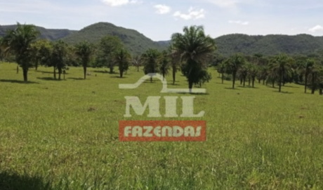 Fazenda em Baliza - Goiás – Mil Fazendas