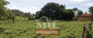 Fazenda em Baliza - Goiás – Mil Fazendas