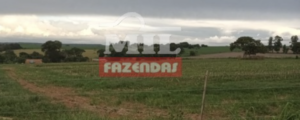  Fazenda em Bela Vista de Goiás - Goiás  – Mil Fazendas