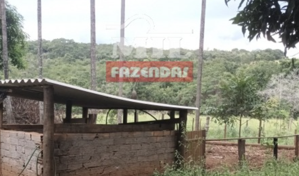 Fazenda em Bela Vista de Goiás - Goiás – Mil Fazendas