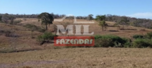 Fazenda em Bom Jardim de Goiás - Goiás – Mil Fazendas